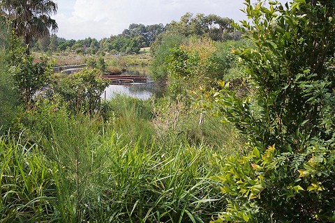 Sydney Park Water Re-Use Project wins American Architecture Prize